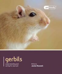 Gerbils - Pet Friendly цена и информация | Книги о питании и здоровом образе жизни | kaup24.ee