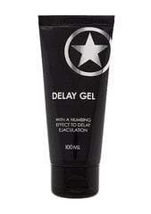 Ejakulatsiooni edasilükkav geel Ouch! Delay Gel, 100 ml hind ja info | Lubrikandid | kaup24.ee