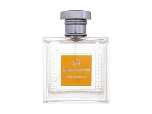 Tualettvesi Sergio Tacchini Essence EDT meestele 100 ml цена и информация | Мужские духи | kaup24.ee