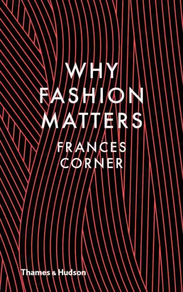 Why Fashion Matters hind ja info | Eneseabiraamatud | kaup24.ee