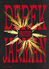 Derek Jarman: Protest! цена и информация | Книги об искусстве | kaup24.ee