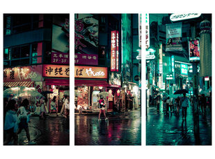 Triptühhon Tokyo tänav, 120x80 cm, Wolf Kult hind ja info | Seinapildid | kaup24.ee