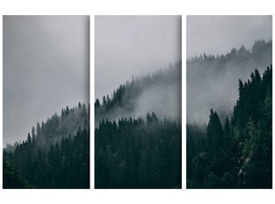 Триптих Туманный лес, 120x80 см, Wolf Kult цена и информация | Картины, живопись | kaup24.ee