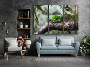 Триптих Лягушка, 120x80 см, Wolf Kult цена и информация | Картины, живопись | kaup24.ee