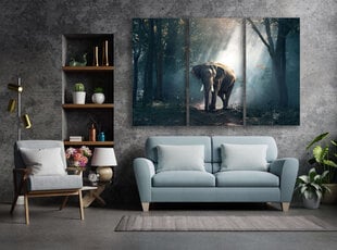 Триптих Слон, 150x100 см, Wolf Kult цена и информация | Репродукции, картины | kaup24.ee