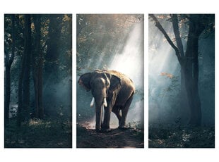 Триптих Слон, 150x100 см, Wolf Kult цена и информация | Репродукции, картины | kaup24.ee