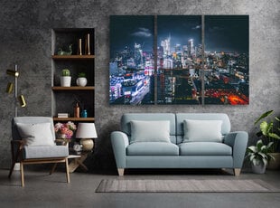 Триптих Лос-Анджелес, 150x100 см, Wolf Kult цена и информация | Картины, живопись | kaup24.ee