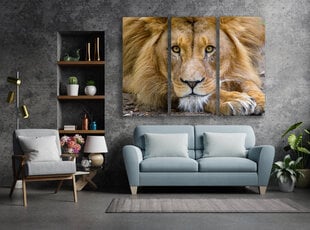 Triptühhon Lõvi, 150x100 cm, Wolf Kult hind ja info | Seinapildid | kaup24.ee