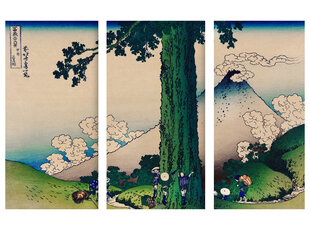 Triptühhon "Mishima kuru Kai provintsis", Katsushika Hokusai, 120x80 cm, Wolf Kult hind ja info | Seinapildid | kaup24.ee