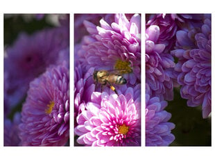 Триптих Пчела, 120x80 см, Wolf Kult цена и информация | Картины, живопись | kaup24.ee