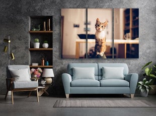 Triptühhon Uudishimulik kass, 120x80 cm, Wolf Kult hind ja info | Seinapildid | kaup24.ee