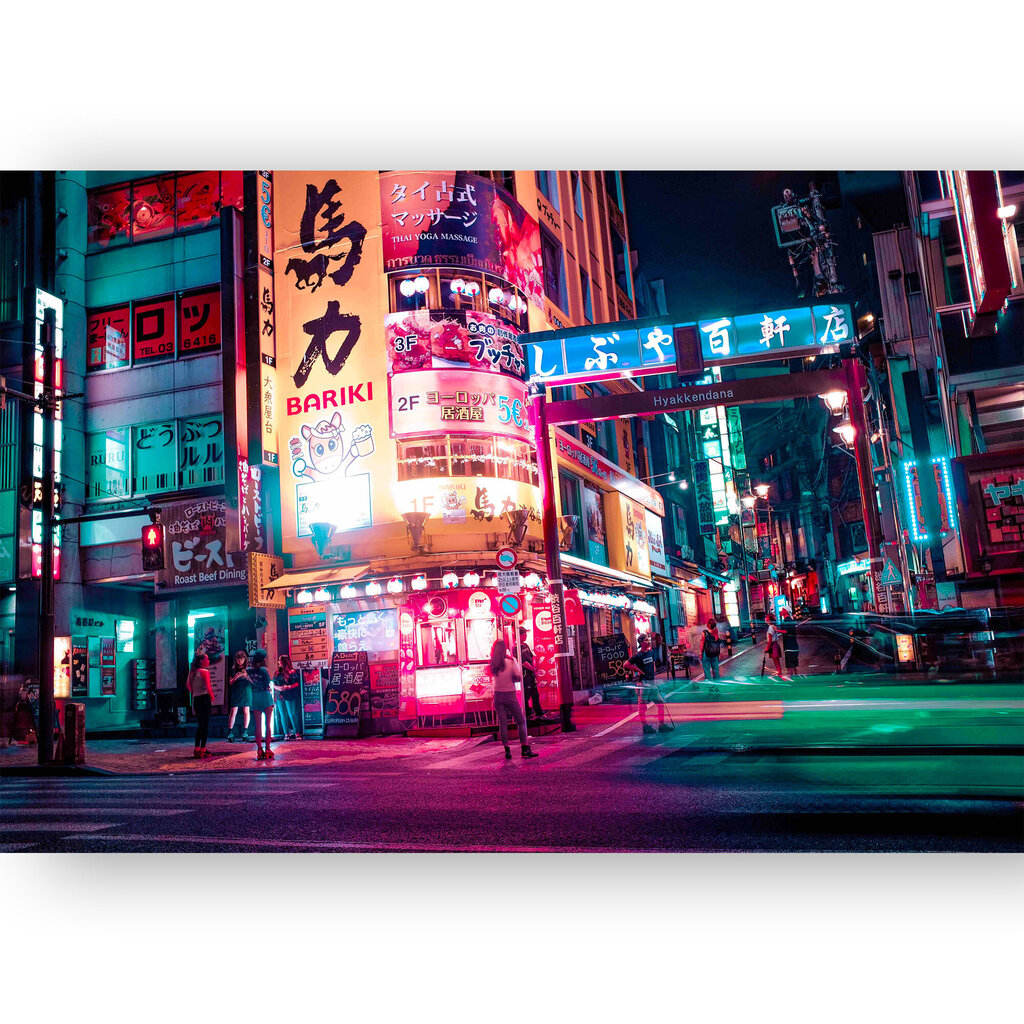 Reproduktsioon Tokyo tänavad, 100x70 cm, Wolf Kult hind ja info | Seinapildid | kaup24.ee