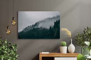 Картина Туманный лес, 100x70 см, Wolf Kult цена и информация | Репродукции, картины | kaup24.ee