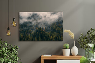Картина Лес в тумане, 100x70 см, Wolf Kult цена и информация | Репродукции, картины | kaup24.ee