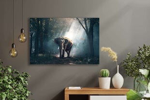 Картина Слон, 100x70 см, Wolf Kult цена и информация | Картины, живопись | kaup24.ee