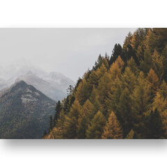 Картина Осенний лес, 100x70 см, Wolf Kult цена и информация | Картины, живопись | kaup24.ee