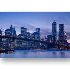 Reproduktsioon Manhattani panoraam, 60x80 cm, Wolf Kult hind ja info | Seinapildid | kaup24.ee