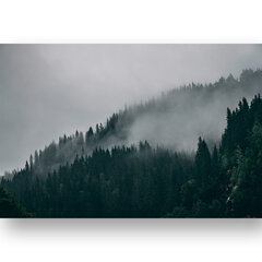 Картина Туманный лес, 60x80 см, Wolf Kult цена и информация | Картины, живопись | kaup24.ee