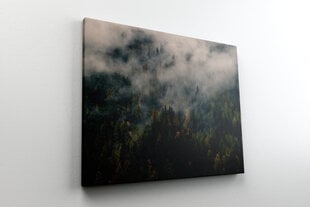 Reproduktsioon Mets udus, 60x80 cm, Wolf Kult hind ja info | Seinapildid | kaup24.ee