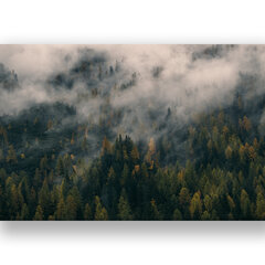 Картина Лес в тумане, 60x80 см, Wolf Kult цена и информация | Картины, живопись | kaup24.ee