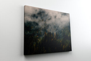 Картина Лес в тумане, 40x60 см, Wolf Kult цена и информация | Картины, живопись | kaup24.ee