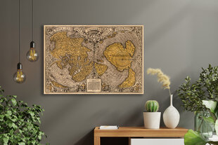 Reproduktsioon Vana Maailma kaart 1531, 60x80 cm, Wolf Kult hind ja info | Seinapildid | kaup24.ee