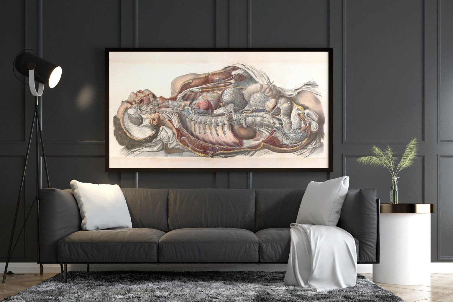 Reproduktsioon Inimese anatoomia, 60x80 cm, Wolf Kult цена и информация | Seinapildid | kaup24.ee