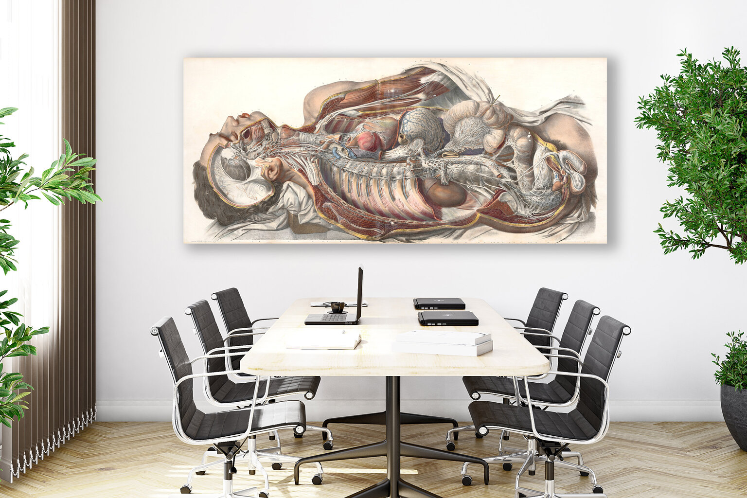 Reproduktsioon Inimese anatoomia, 60x80 cm, Wolf Kult цена и информация | Seinapildid | kaup24.ee