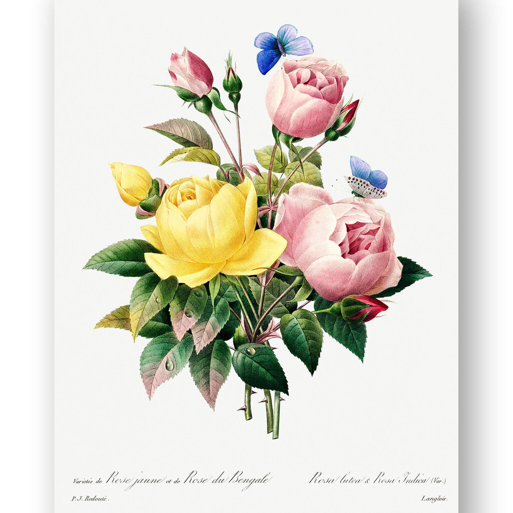 Reproduktsioon Vintage lilled II, 60x80 cm, Wolf Kult цена и информация | Seinapildid | kaup24.ee
