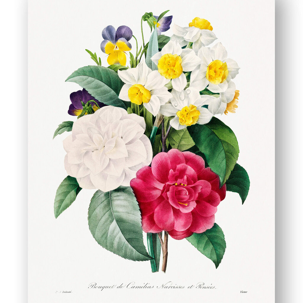 Reproduktsioon Vintage lilled, 60x80 cm, Wolf Kult цена и информация | Seinapildid | kaup24.ee