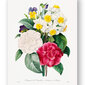 Reproduktsioon Vintage lilled, 60x80 cm, Wolf Kult цена и информация | Seinapildid | kaup24.ee