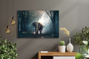 Reproduktsioon Elevant, 60x80 cm, Wolf Kult hind ja info | Seinapildid | kaup24.ee