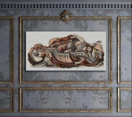 Картина Анатомия человека, 40x60 см, Wolf Kult цена и информация | Картины, живопись | kaup24.ee