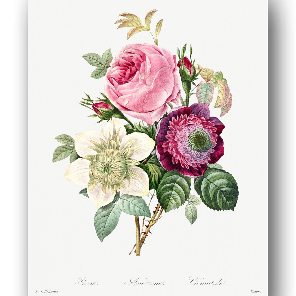 Reproduktsioon Vintage lilled III, 40x60 cm, Wolf Kult hind ja info | Seinapildid | kaup24.ee