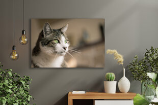 Картина Портрет кошки, 40х60 см, Wolf Kult цена и информация | Картины, живопись | kaup24.ee
