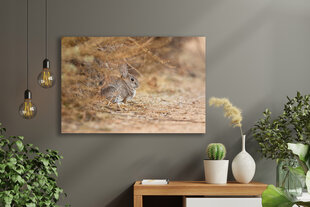 Картина Заяц, 40x60 см, Wolf Kult цена и информация | Картины, живопись | kaup24.ee