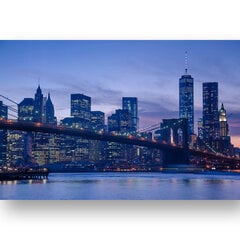 Reproduktsioon Manhattani panoraam, 40x60 cm, Wolf Kult цена и информация | Картины, живопись | kaup24.ee