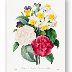 Reproduktsioon Vintage lilled, 30x40 cm, Wolf Kult hind ja info | Seinapildid | kaup24.ee