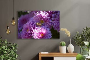 Картина Пчела, 30x40 см, Wolf Kult цена и информация | Картины, живопись | kaup24.ee