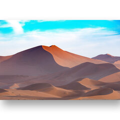 Картина Пустыня, 30x40 см, Wolf Kult цена и информация | Картины, живопись | kaup24.ee