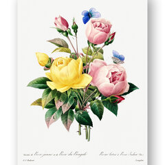 Плакат Винтажные цветы II, 59x84 см (A1), Wolf Kult цена и информация | Репродукции, картины | kaup24.ee