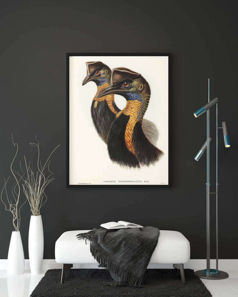 Plakat Kaasuar, 59x84 cm (A1), Wolf Kult hind ja info | Seinapildid | kaup24.ee