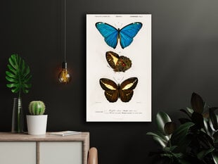 Плакат Бабочки V, 59x84 см (A1), Wolf Kult цена и информация | Настенные деревянные декорации | kaup24.ee
