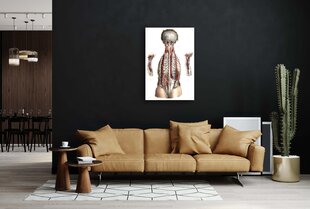 Плакат Анатомия, 59x84 см (A1), Wolf Kult цена и информация | Настенные деревянные декорации | kaup24.ee