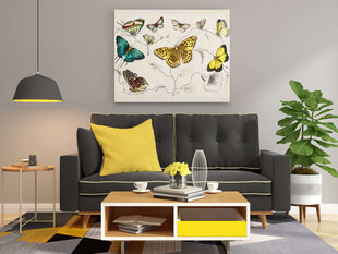 Плакат Разные бабочки II, 59x84 см (A1), Wolf Kult цена и информация | Картины, живопись | kaup24.ee