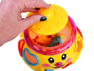 Muusikaline pott-sorteerija hind ja info | Imikute mänguasjad | kaup24.ee