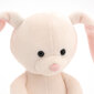 Pehme mänguasi Hare Surprise, 15 cm kotis hind ja info | Pehmed mänguasjad | kaup24.ee