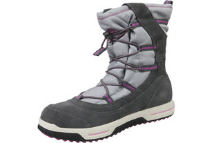 Зимние ботинки Timberland Snow Stomper, серые цена и информация | Детские туфли | kaup24.ee