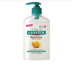 Мыло для рук Sanytol, 250 мл цена и информация | Мыло | kaup24.ee