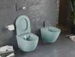 WC-pott Mexen Lena Rimless Slim Duroplast koos aeglaselt sulguva kaanega, Light green mat hind ja info | WС-potid | kaup24.ee
